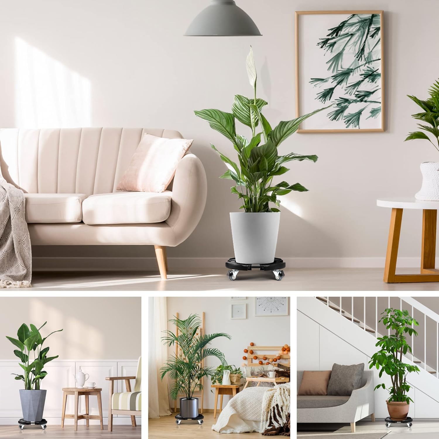 Thumbnail 5 de W B D WEIBIDA sottovaso con ruote regolabile Ø 40-54 cm fino a 200 kg, carrello portavasi rotabile 360° (nero)