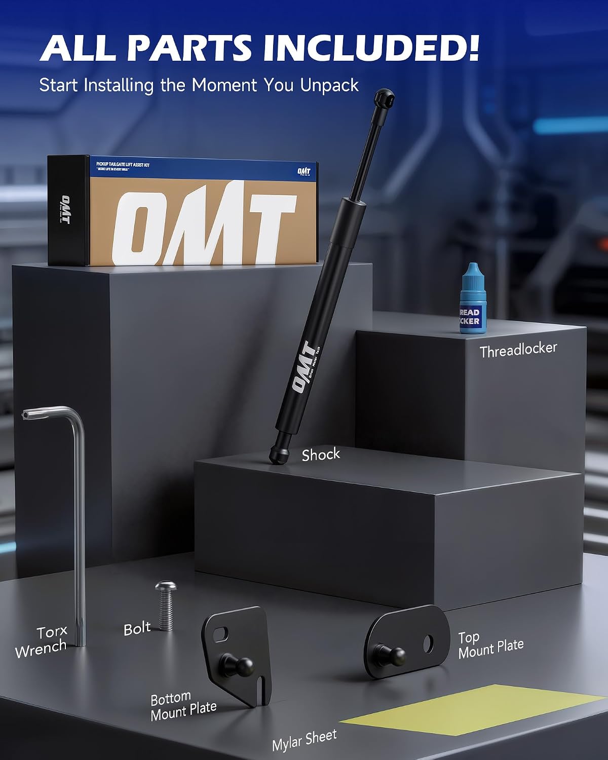 Detalle 2 de OMT tailgate assist 43204
