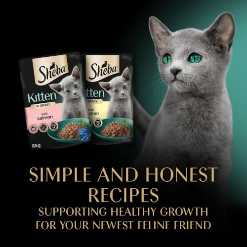 Thumbnail 8 de Sheba Sauce Collection Kitten Pouches in Gravy – 40 x 85g