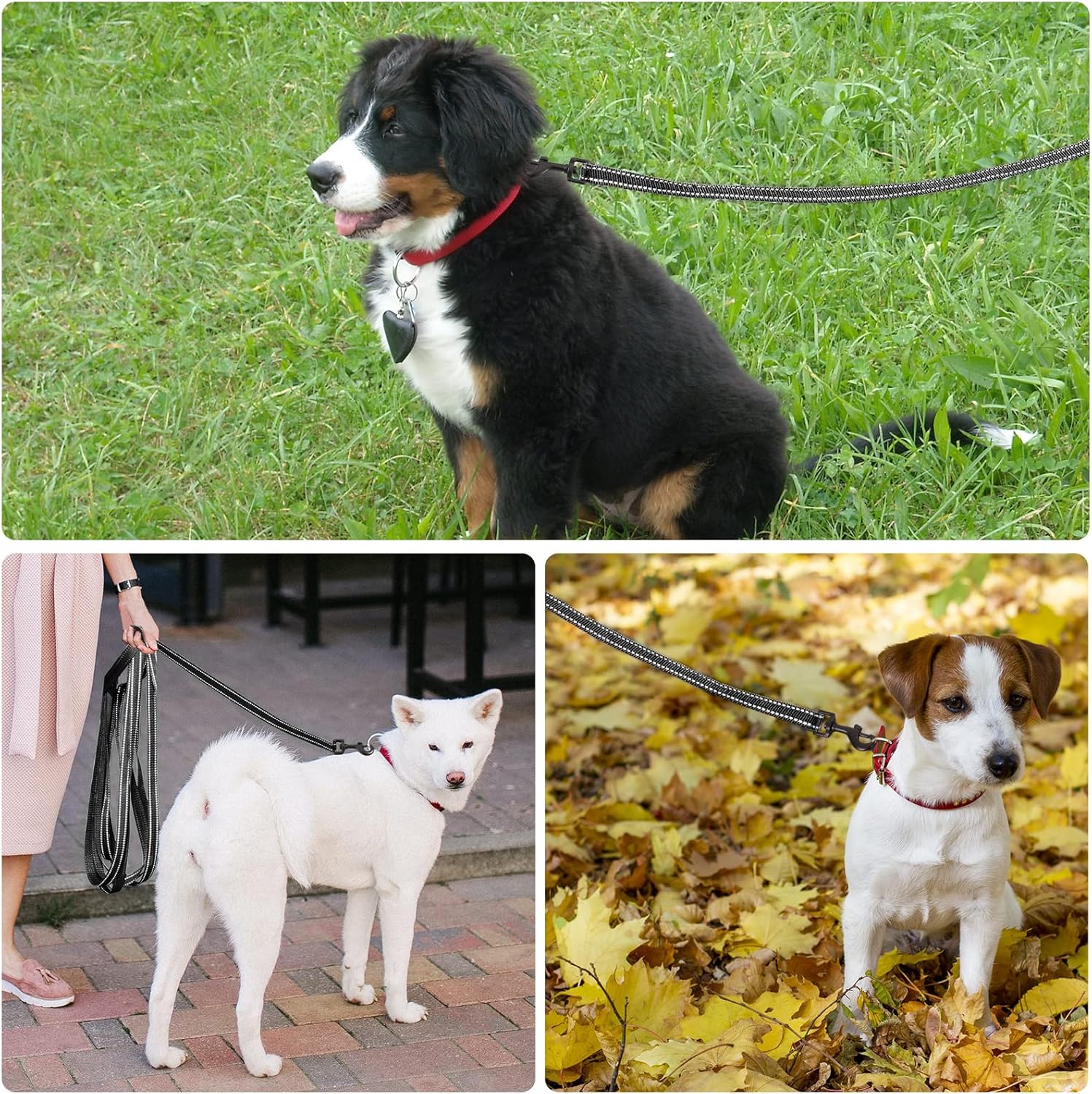 Thumbnail 5 de Demigreat Schleppleine für Hunde mit reflektierenden Streifen (3 m–20 m) – gepolsterter Griff & Drehhaken