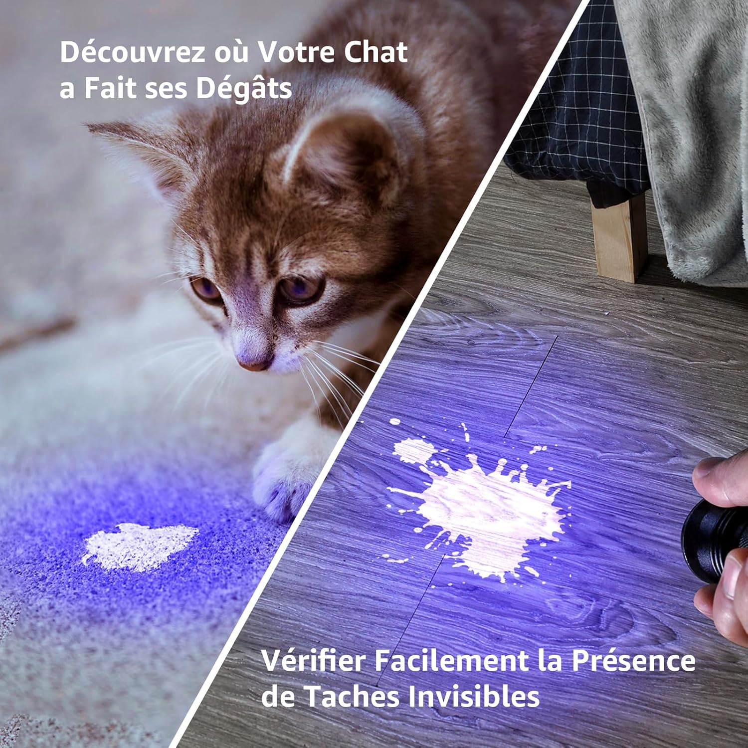 Thumbnail 1 de Lighting EVER Lepro Lampe UV 395 nm – Lampe torche noire 6 piles AAA incluses (Lot de 2)