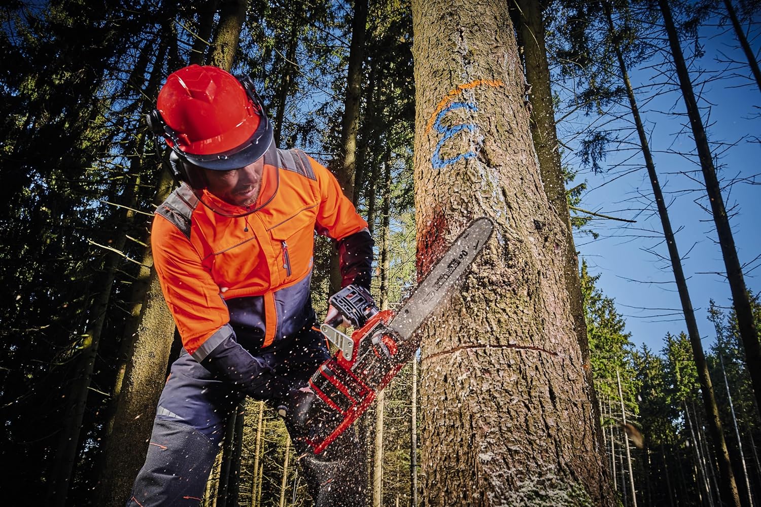 Detalle 2 de Einhell GE-LC 36/35 Li Akku-Kettensäge 36 V