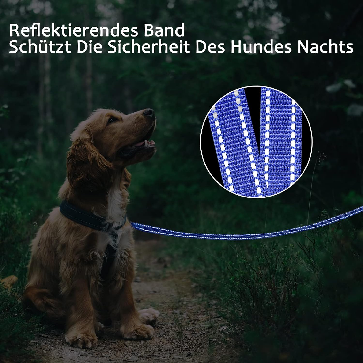 Detalle de Demigreat Schleppleine für Hunde mit reflektierenden Streifen, gepolstertem Griff und Handschlaufe (3–20 m)