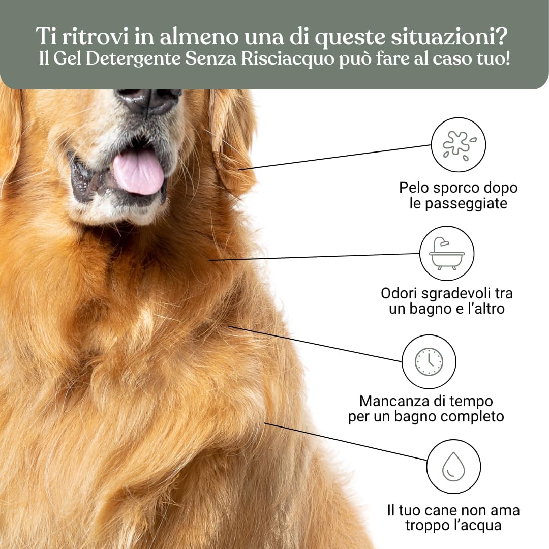 Detalle de Bau Shampoo Secco per Cani — Gel Detergente Senza Risciacquo con Aloe Vera, 250 ml