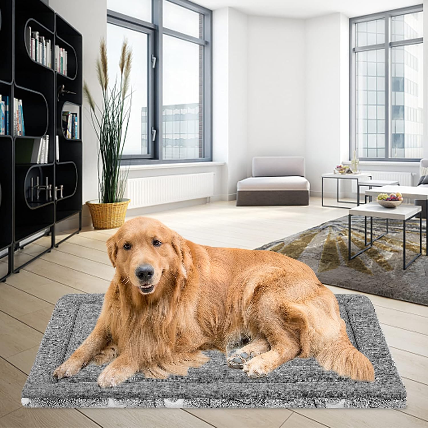 Thumbnail 4 de EMPSIGN Alfombra de Cama para Perro XXL 122×76 cm
