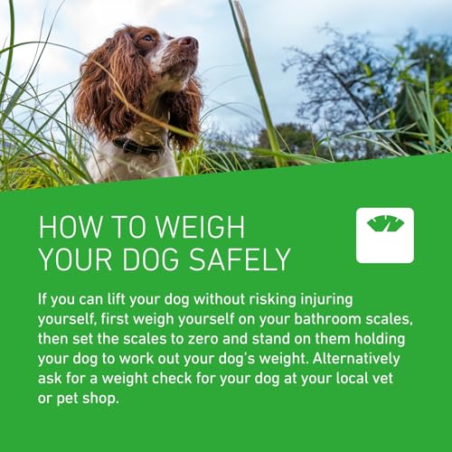 Thumbnail 6 de FRONTLINE Plus Flea & Tick Treatment for Large Dogs - 3 Pipettes