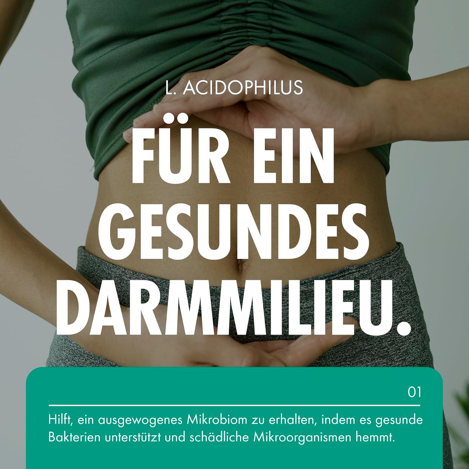 Thumbnail 2 de Incite Nutrition Acidophilus Bio-Kulturen Tabletten mit Lactobacillus Gasseri (10 Milliarden KBE, 4 Monate Vorrat) – vegan