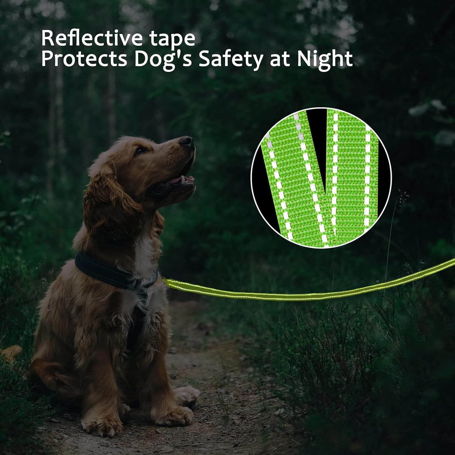 Thumbnail 4 de COMSLE Long Leads for Dog Training – strong extra long nylon training leash (3m to 20m)