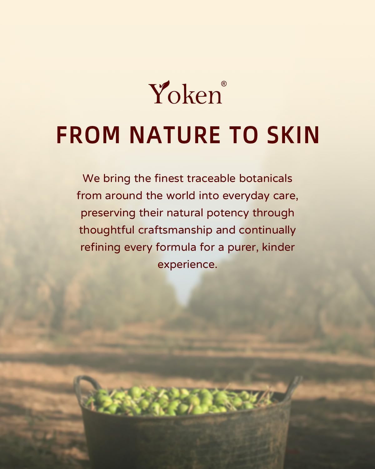 Detalle 2 de Yoken Beauty Advent Calendar 2026