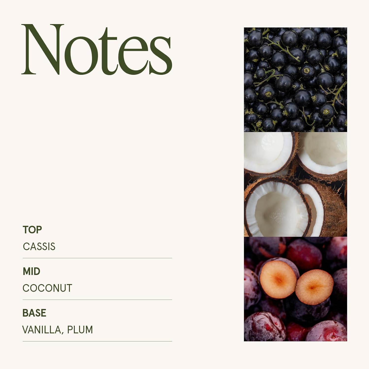 Detalle 1 de La Jolie Muse Vanilla Plum Sky Candle 12oz
