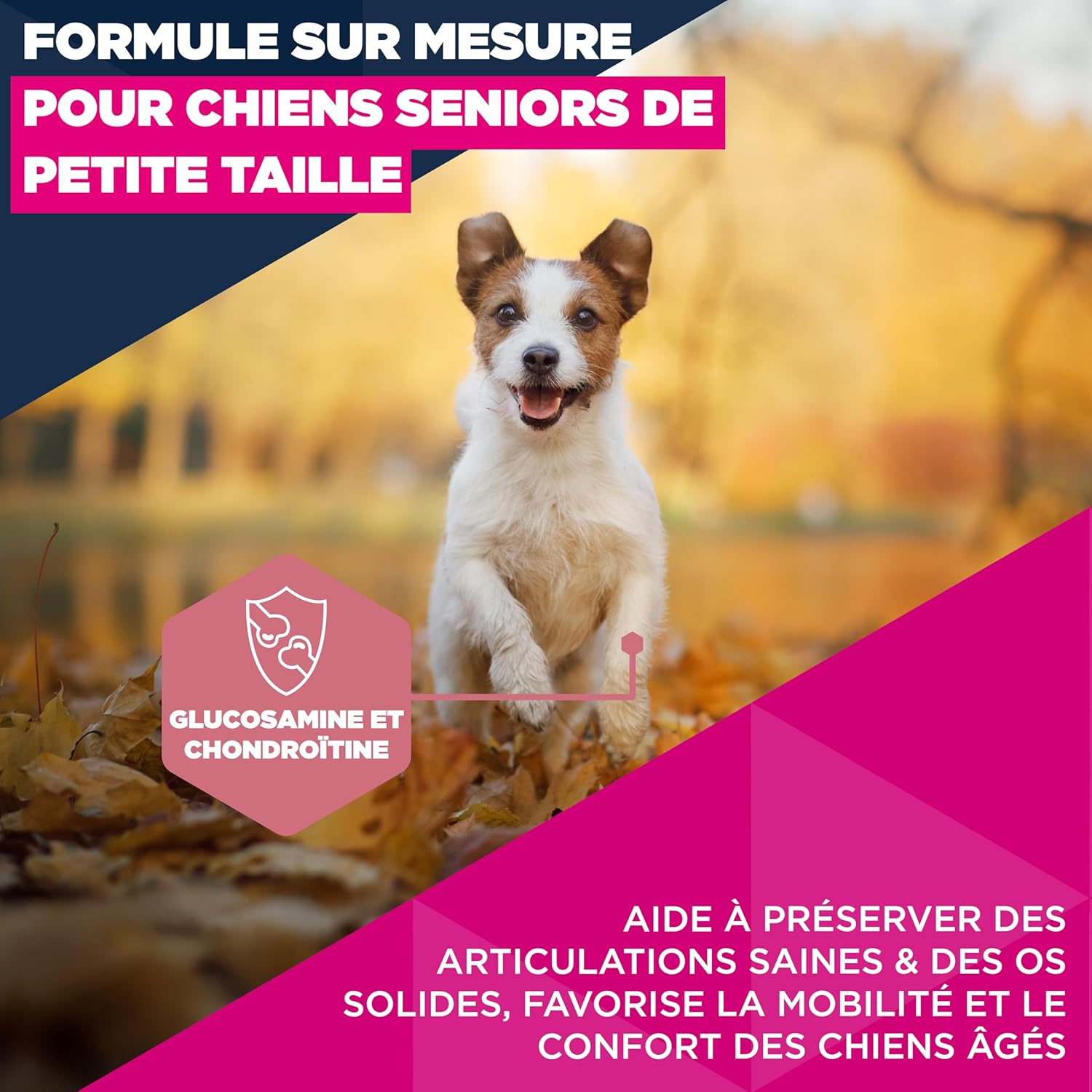 Detalle de EUKANUBA Life Care Croquettes Chien Senior Petite Race dès 11 ans – Riche en poulet frais, 3 kg