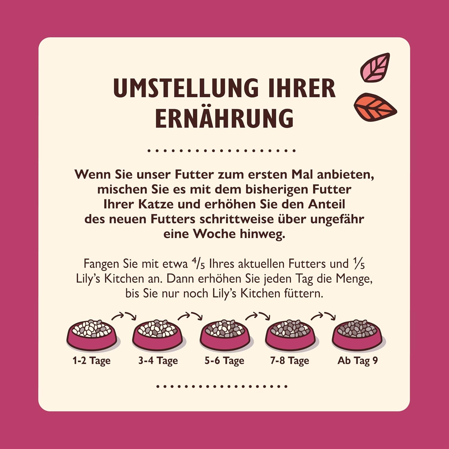 Detalle 2 de Lily’s Kitchen Feine Pastete Hühnchen mit Lachs für ausgewachsene Katzen – 19 x 85 g Schalen