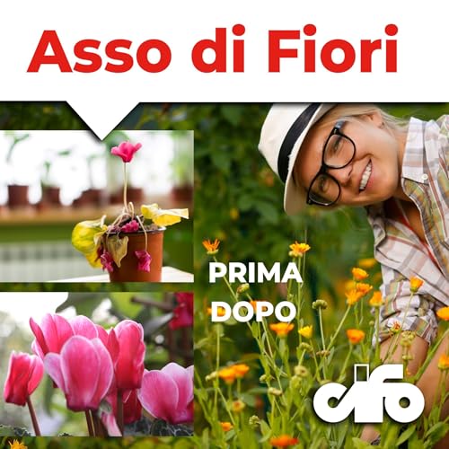 Detalle de CIFO Asso di Fiori - Concime in Polvere per Piante Verdi, Fiorite e Orto (1 kg)