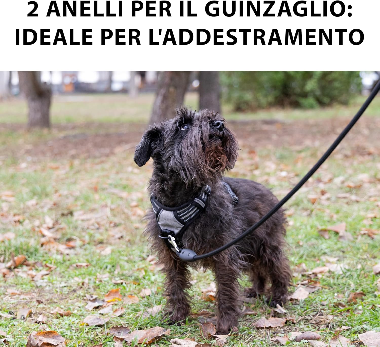 Thumbnail 6 de Ferplast Pettorina Cane Taglia L anti‑tiro regolabile, riflettente