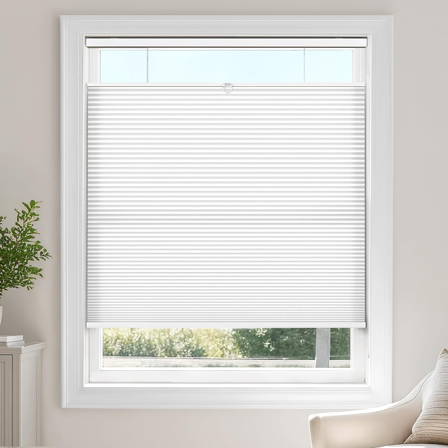 Thumbnail 6 de LazBlinds Cellular Shade 27" W x 64" H