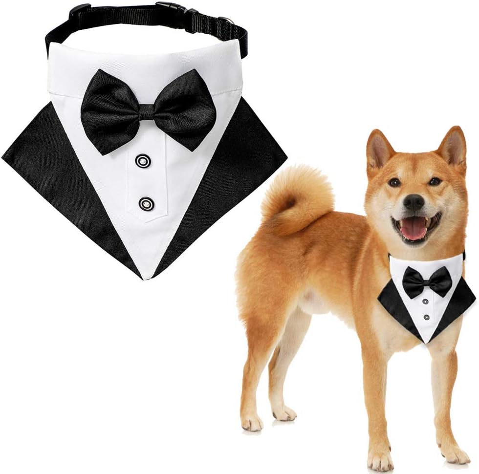 Thumbnail 6 de BT Bear Smoking-Bandana-Halsband für Hunde (Größe M) – verstellbar mit Fliege, Beige