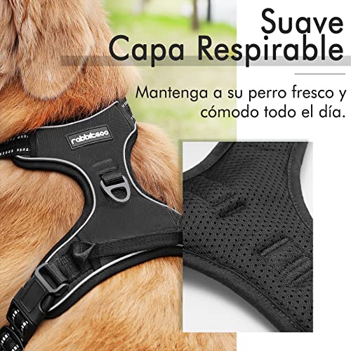 Detalle de rabbitgoo arnés en Y para perros Grande