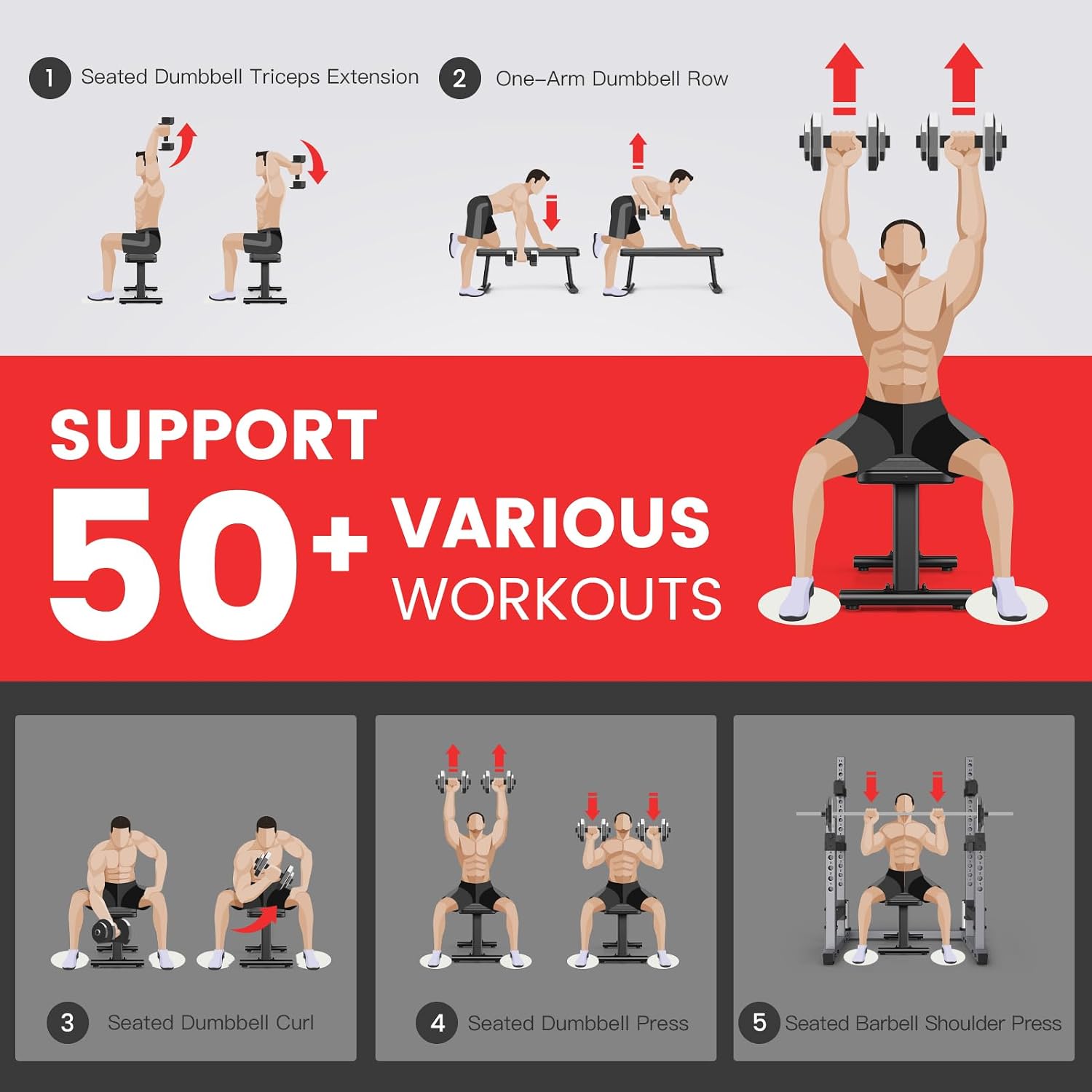 Thumbnail 6 de PASYOU PW100 Hantelbank (Flachbank) bis 660 kg – Fitnessbank für Zuhause