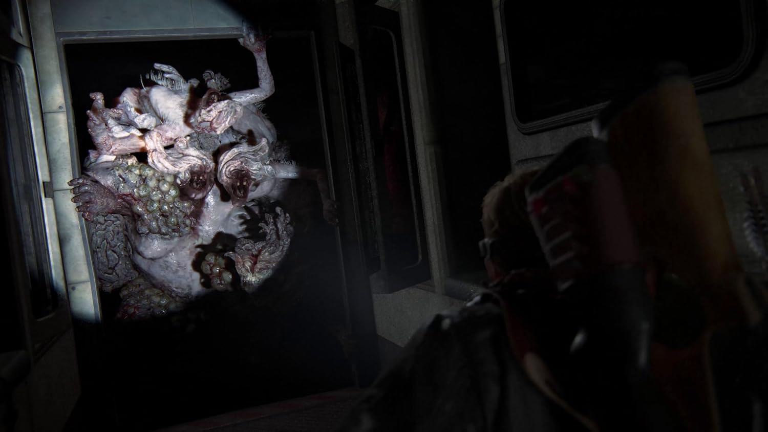 Detalle 2 de The Last Of Us Part II (Remastered) for PS5 – In-Depth Buyer's Guide