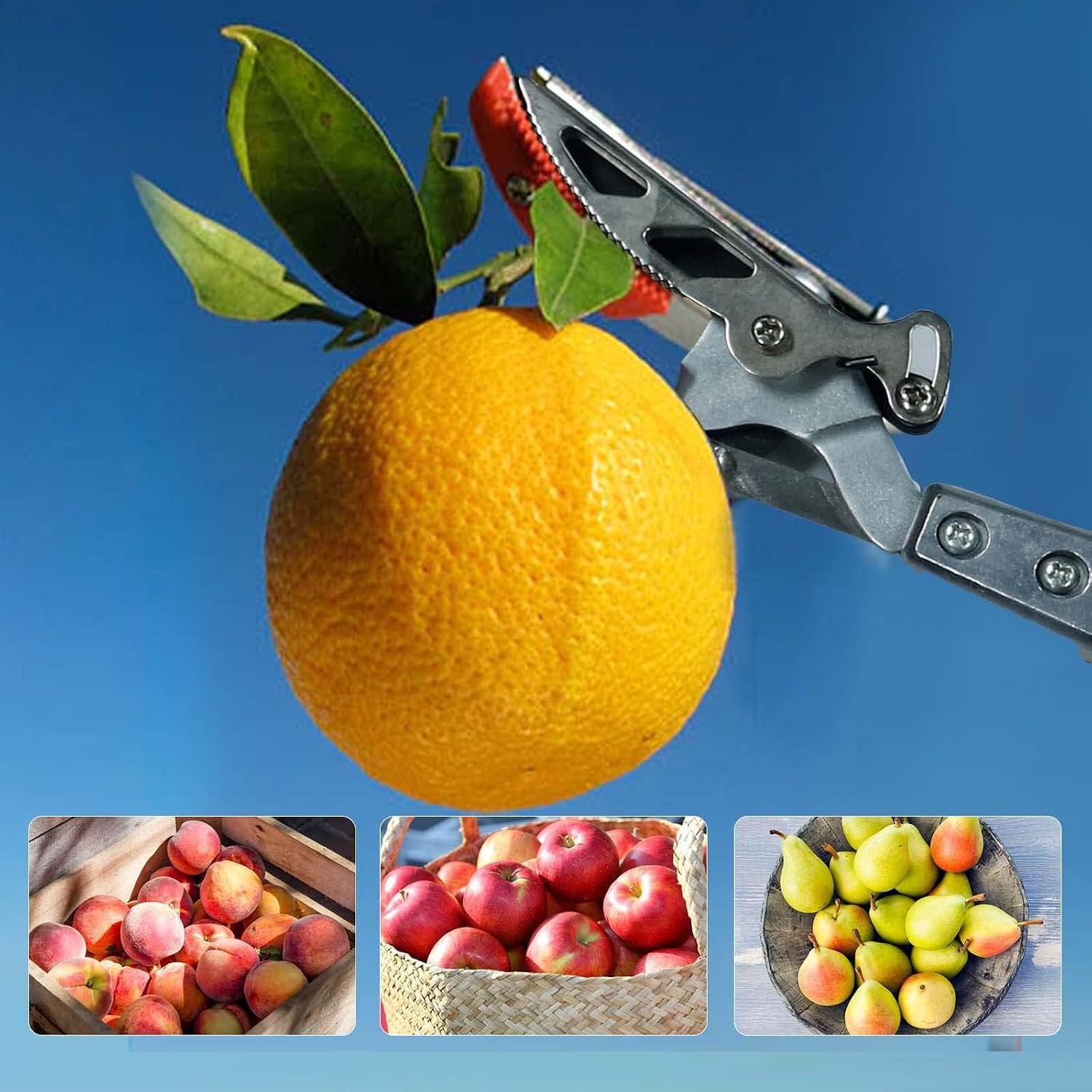 Thumbnail 6 de GARTOL Tree Pruner long reach 166cm