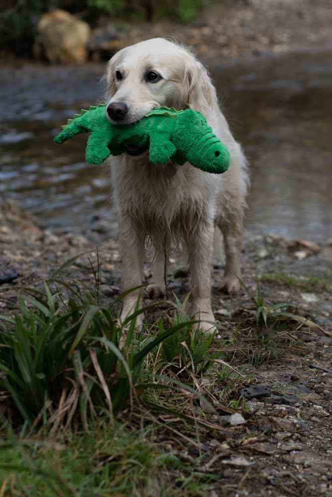 Thumbnail 3 de Petface Planet Carlos the Crocodile Eco-Friendly Plush Dog Toy