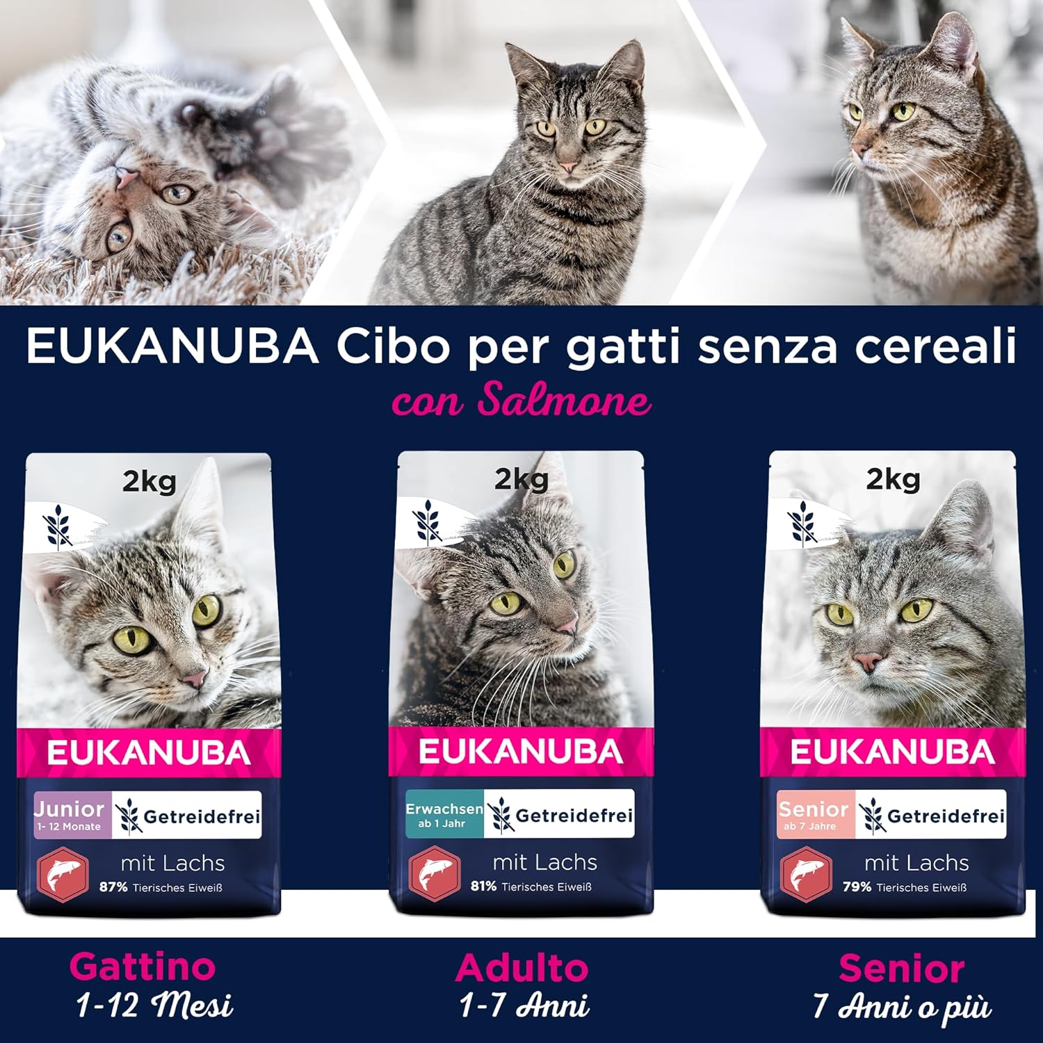 Thumbnail 4 de Eukanuba Grain Free cibo secco per gatti anziani al salmone, senza cereali, 2 kg