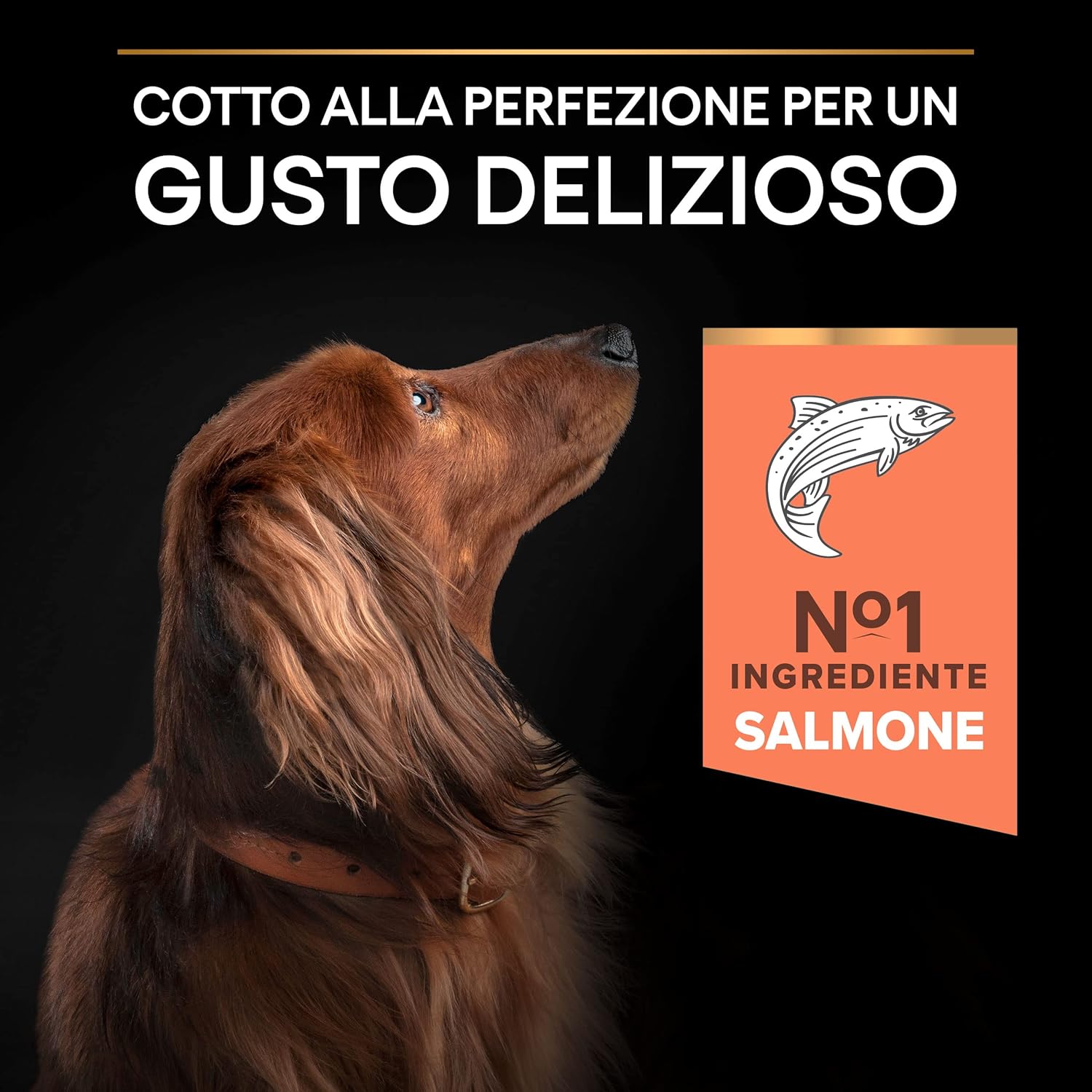 Detalle 2 de Purina ProPlan Small Derma Adulto Perro Salmón 🐶 8x700 g
