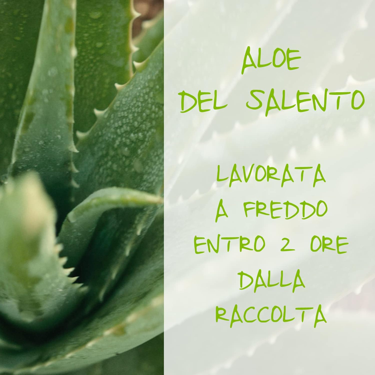 Thumbnail 2 de Omia Intimo Eco Bio 250 ml