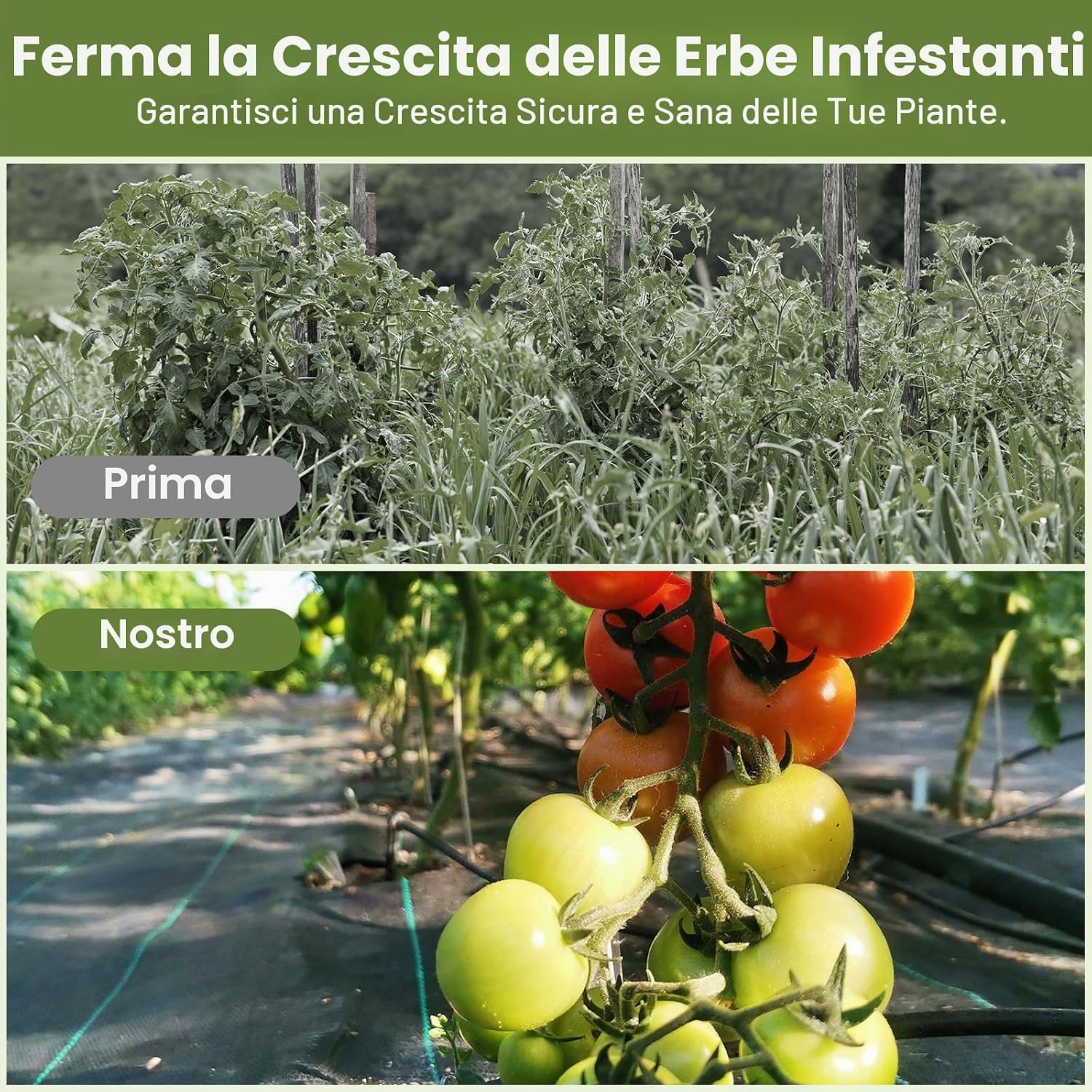 Detalle de Velway Telo Pacciamatura 1x10M - 100g/m², Telo Anti Erbacce PP Durevole e Permeabile