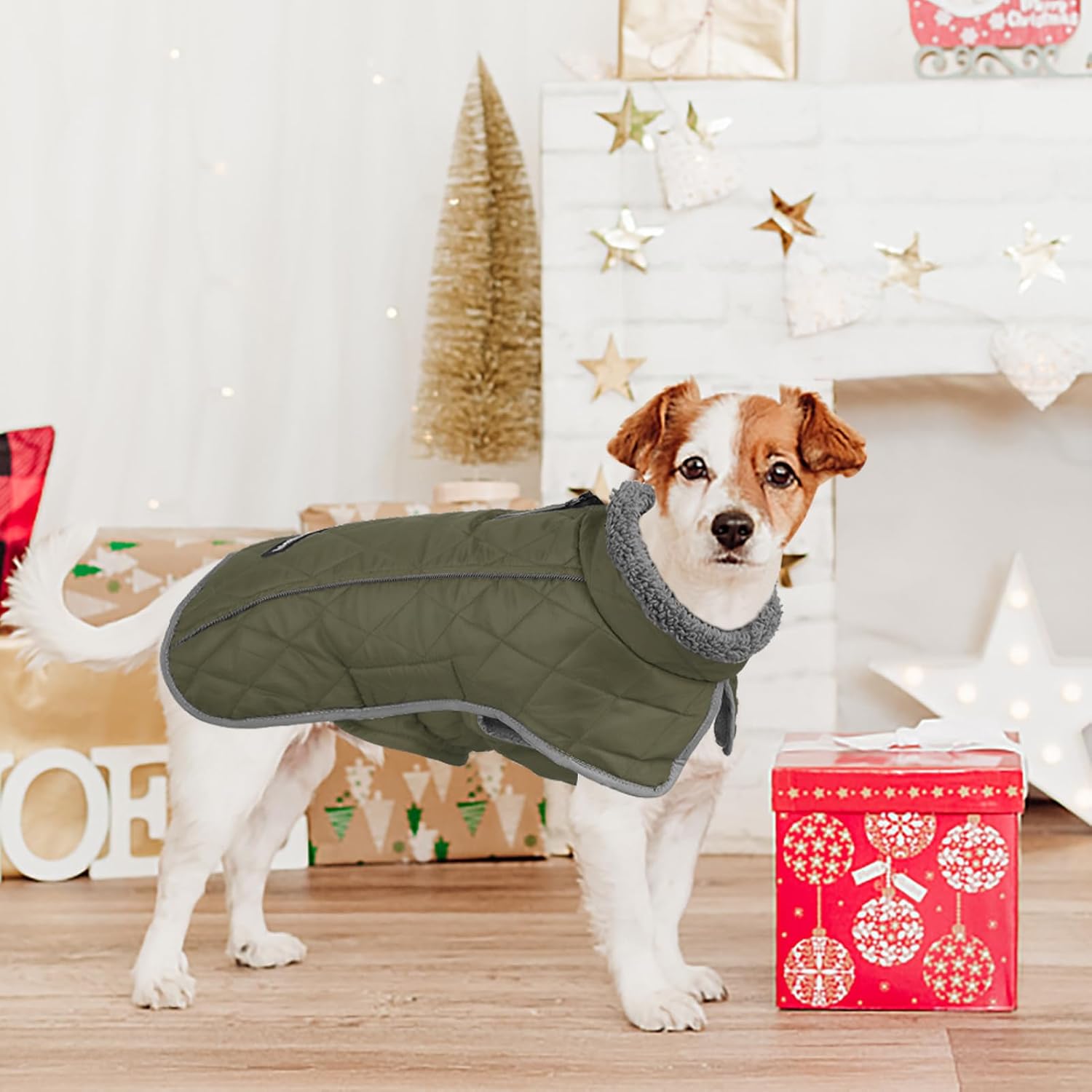 Thumbnail 6 de Fragralley Dog Coat M