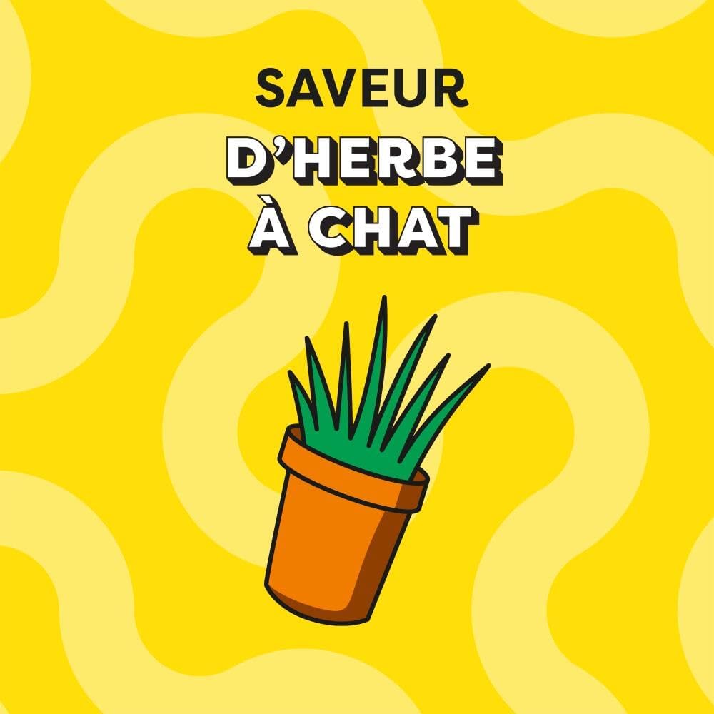 Detalle 2 de Catisfactions Friandises pour Chat – Saveur Herbe à Chat (60 g, Lot de 6)