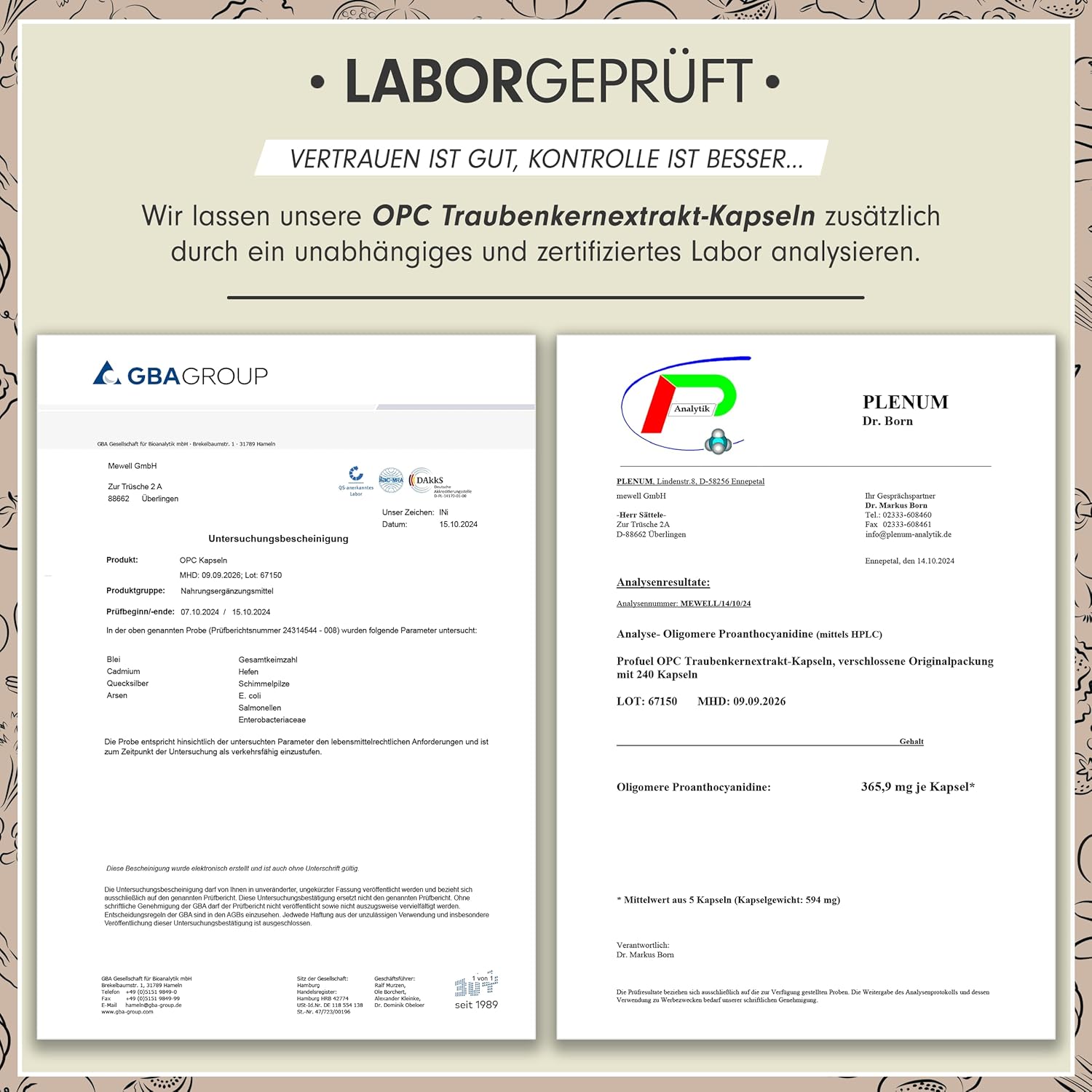 Thumbnail 4 de OPC Traubenkernextrakt 240 Kapseln — 75% OPC