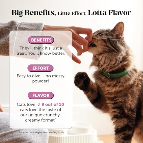 Detalle de Pet Honesty Cat Multivitamin Crunchy Creamy Chews — Daily Cat Vitamins with Lysine, Prebiotics, Omega 3, 30-Day Supply
