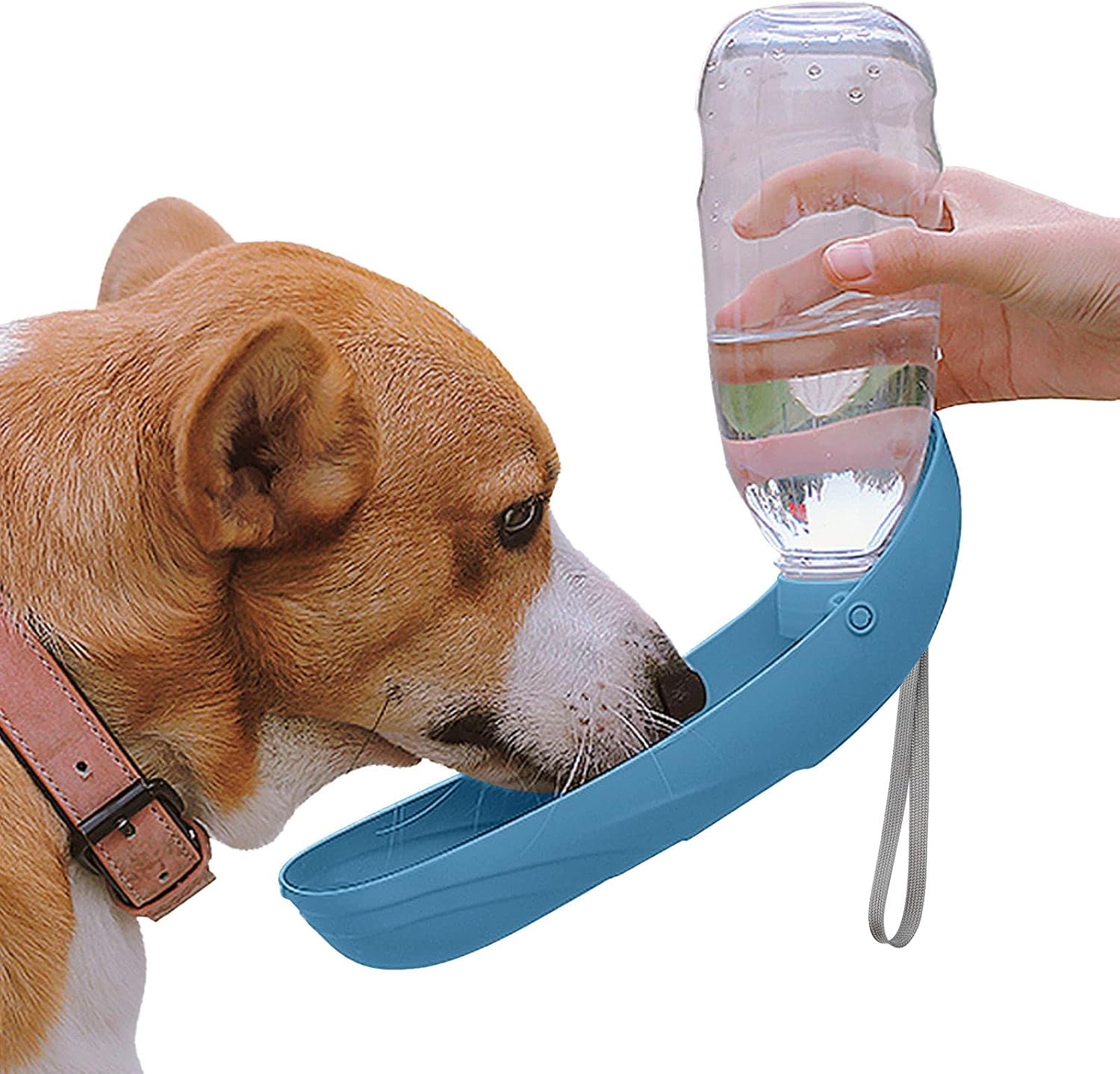 Detalle de NAMSAN 550 ml Dog Water Bottle for On-the-Go Hydration