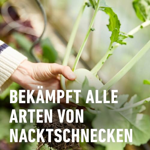 Thumbnail 7 de COMPO Schnecken-frei Streugranulat – 4x225 g (900 g) gegen Nacktschnecken, regenfest, für bis zu 1800 m²