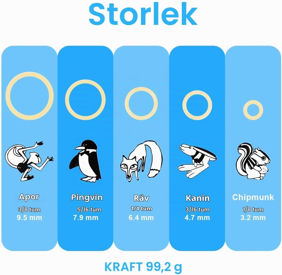 Detalle 2 de OFFCUP ortodontiska gummiband 5/16, 500-pack med 5 placeringsverktyg