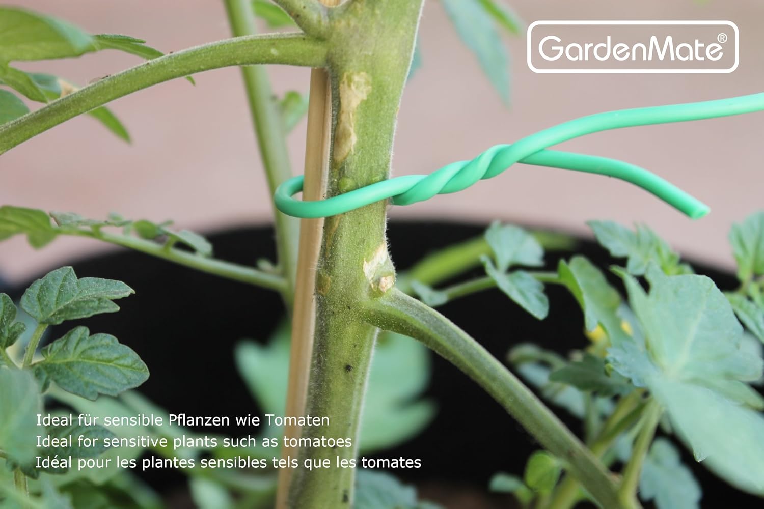 Thumbnail 2 de GardenMate lien de tuteurage 2,5 mm x 10 m (fil d’acier entouré de caoutchouc)