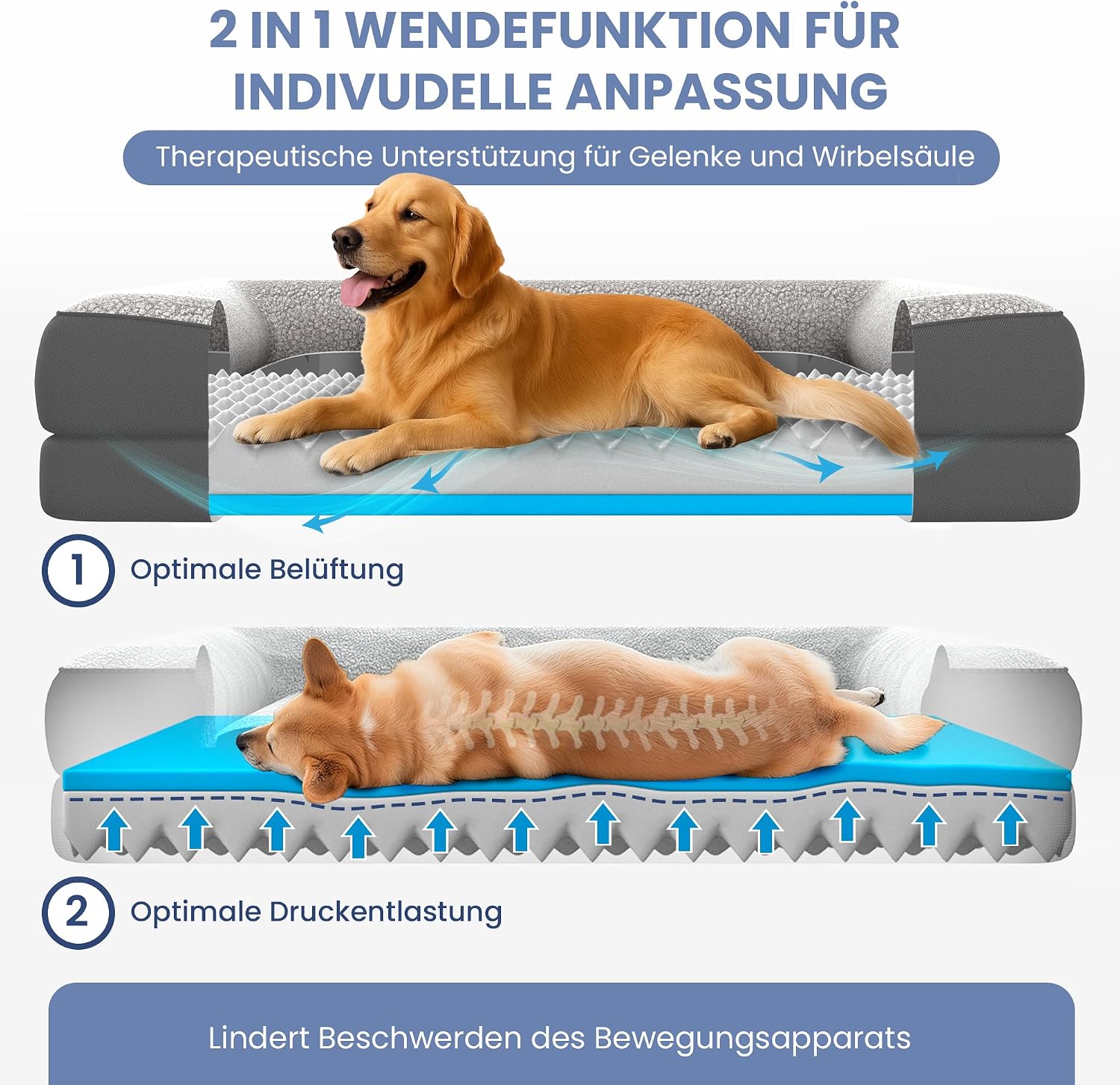 Thumbnail 2 de ELONEO orthopädisches Hundebett 90x68x18 cm