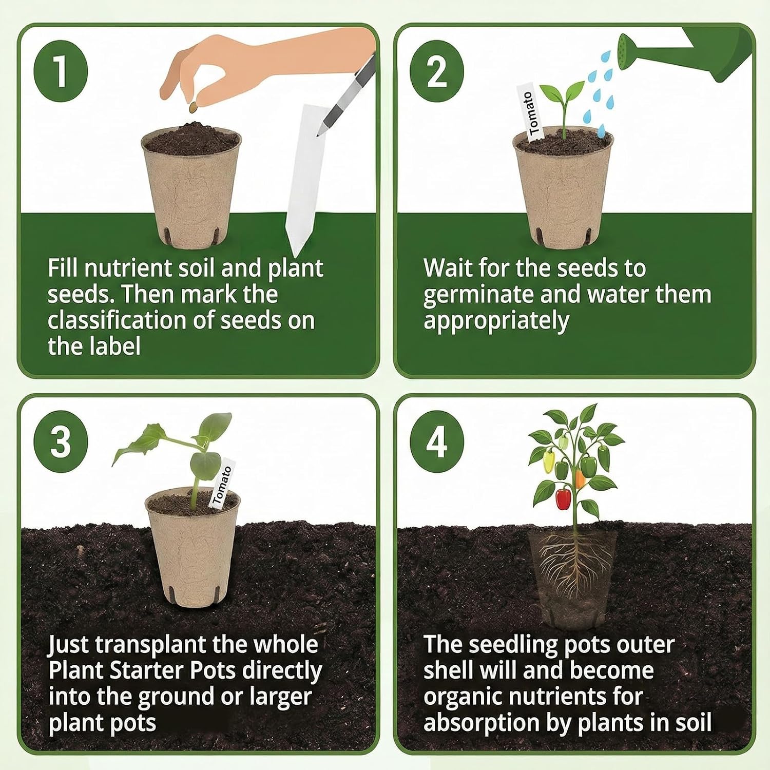 Detalle 2 de Peat Pots Seedling Trays with 24 Labels