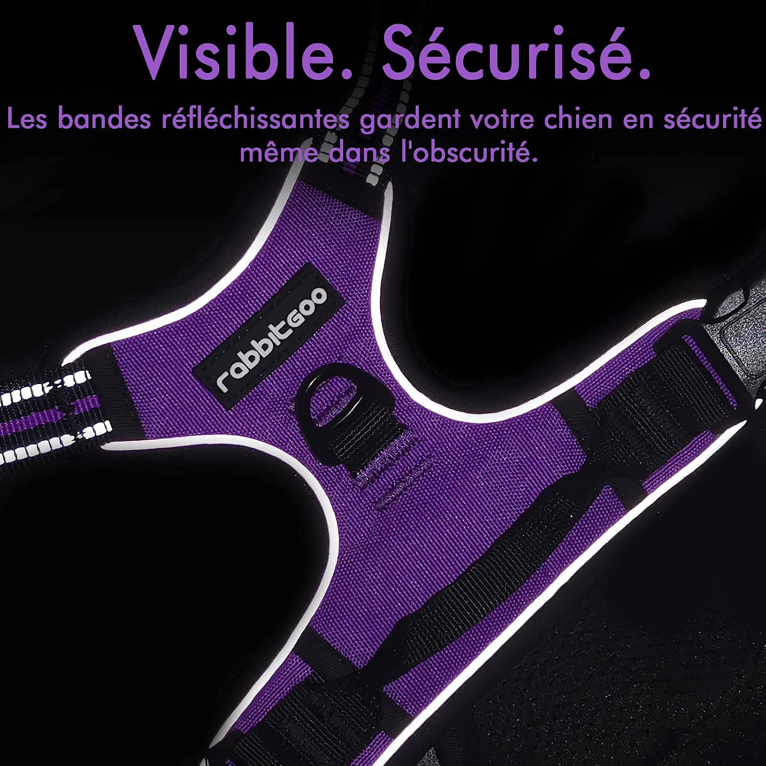 Thumbnail 6 de rabbitgoo Harnais Chien Anti Traction Violet XS