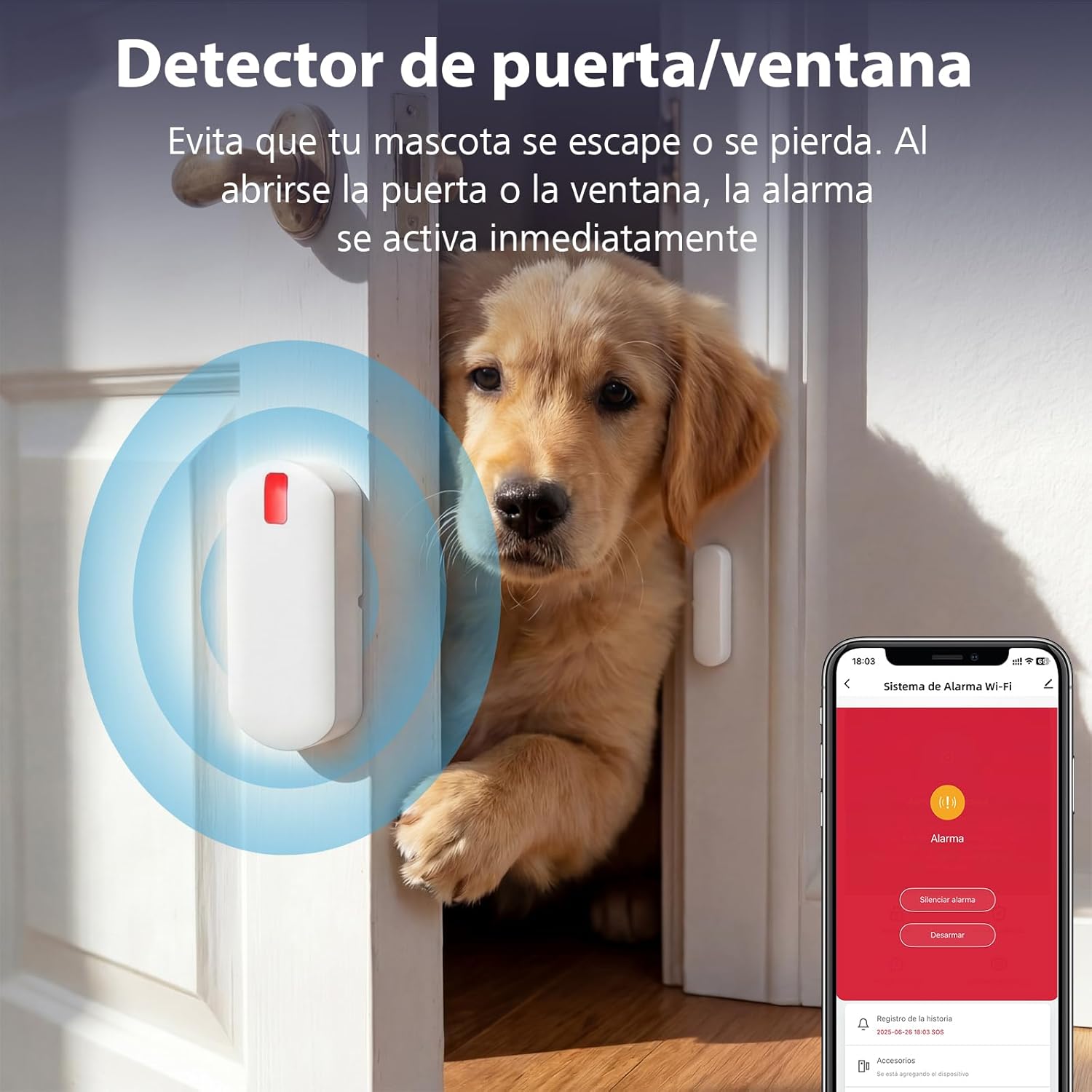 Thumbnail 4 de YISEELE Allarme Casa Senza Fili con centrale 120 dB, 4 sensori e telecomando (compatibile Alexa e Google Home)