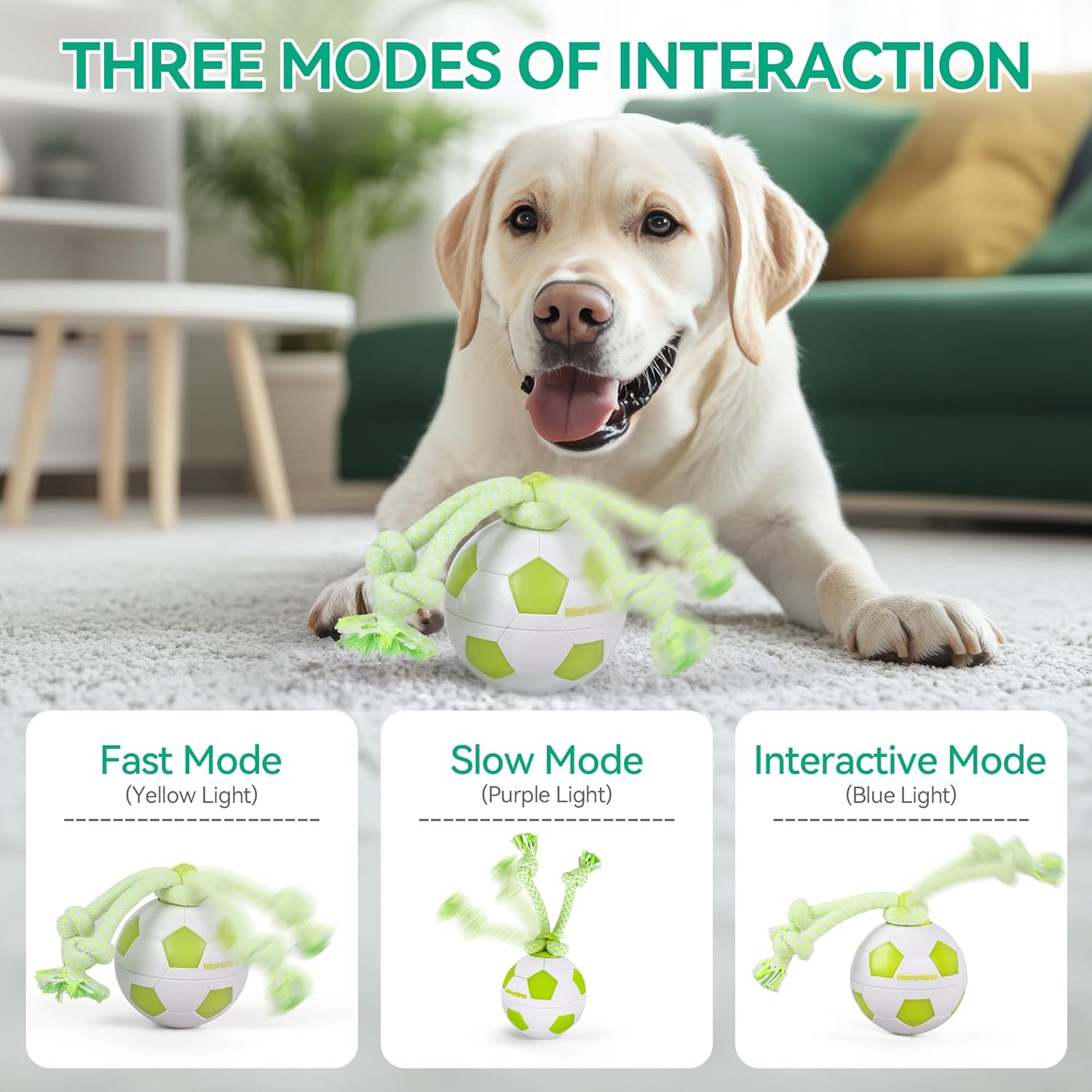 Thumbnail 2 de ALL FOR PAWS Interactive Ball with LED Lights: Motion-Activated Dog Toy for Boredom, USB Rechargeable