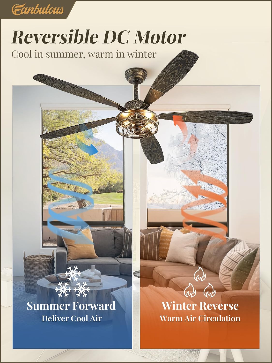 Detalle de Fanbulous Ceiling Fan with Light, 60-Inch