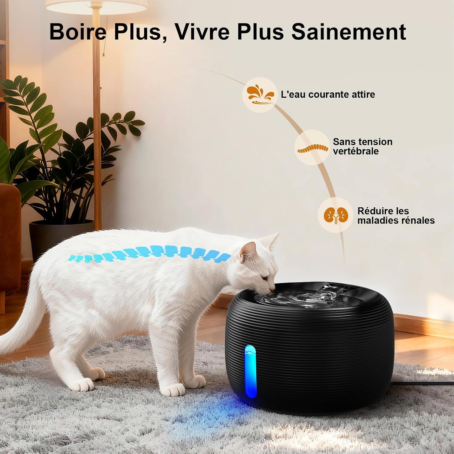 Thumbnail 2 de SIBAYS FS77 Fontaine à eau 3,5 L 🐱