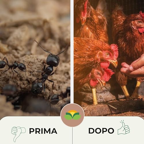 Detalle de Albagarden Esca Formiche: Polvere repellente per esterni, casa e giardino