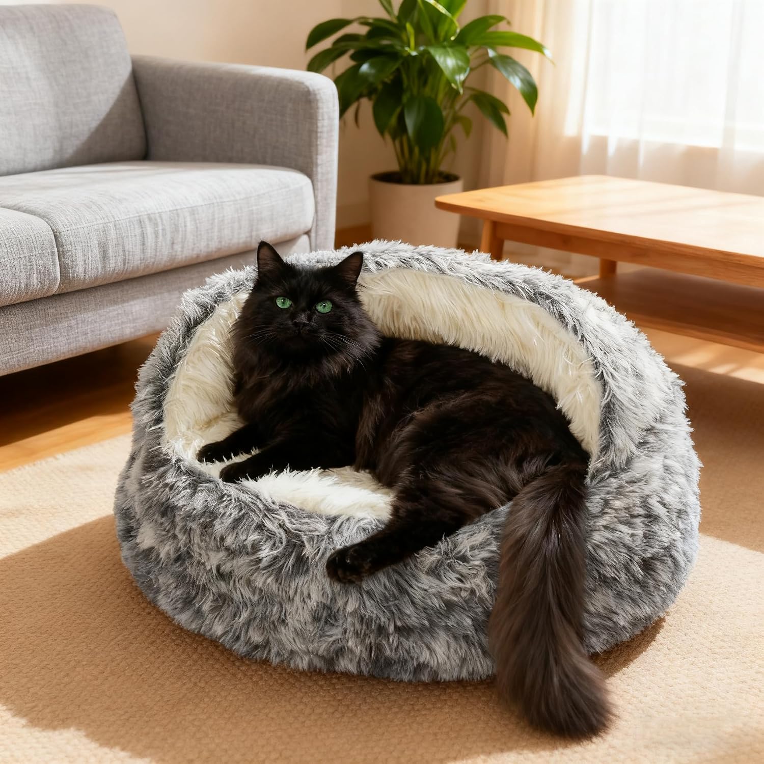 Thumbnail 6 de SHJOEE Flauschig Haustierbett für Hunde & Katzen