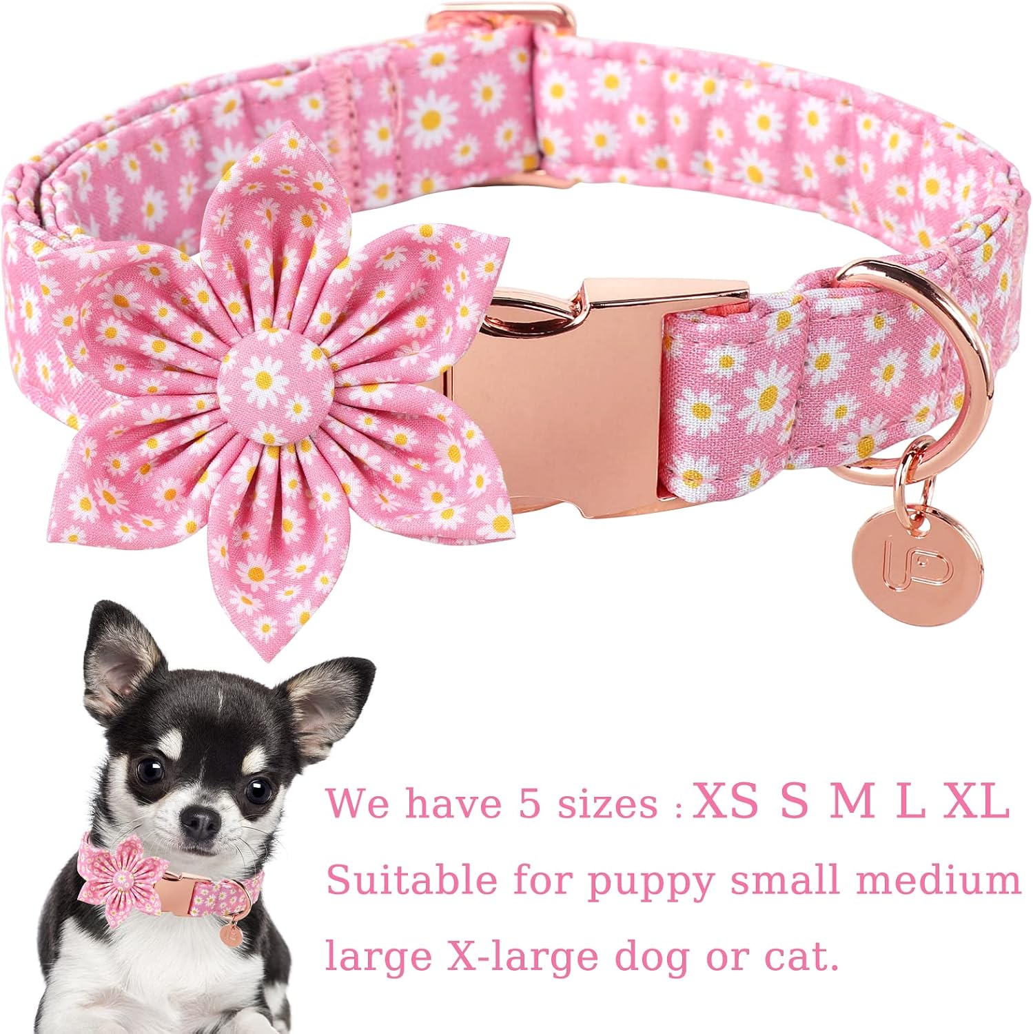 Detalle 2 de UP URARA PUP Dog Collar, Medium