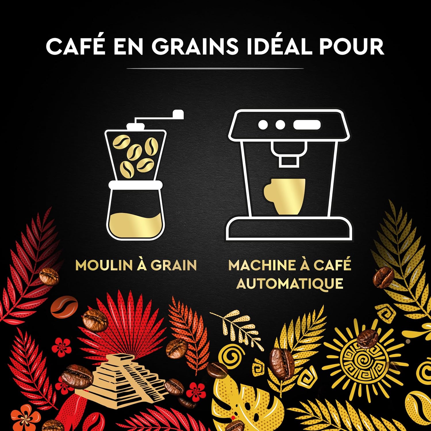 Thumbnail 6 de Carte Noire Café Terres d'Arabica 4x500 g