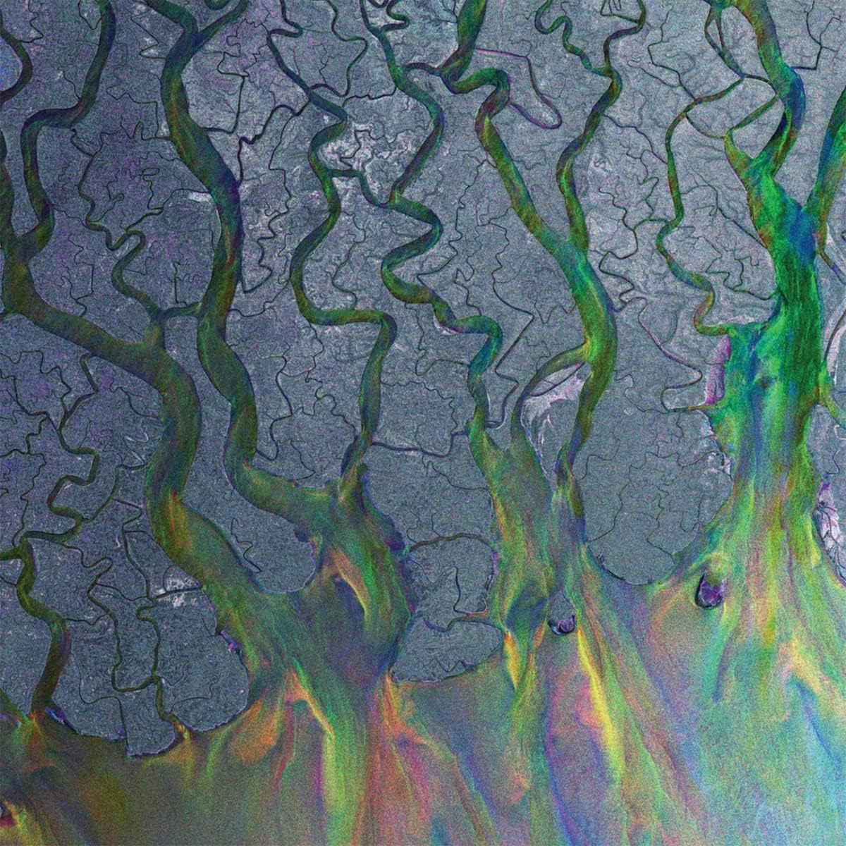 Detalle de BMG 64122115 An Awesome Wave vinyl album by alt-J, 13 tracks