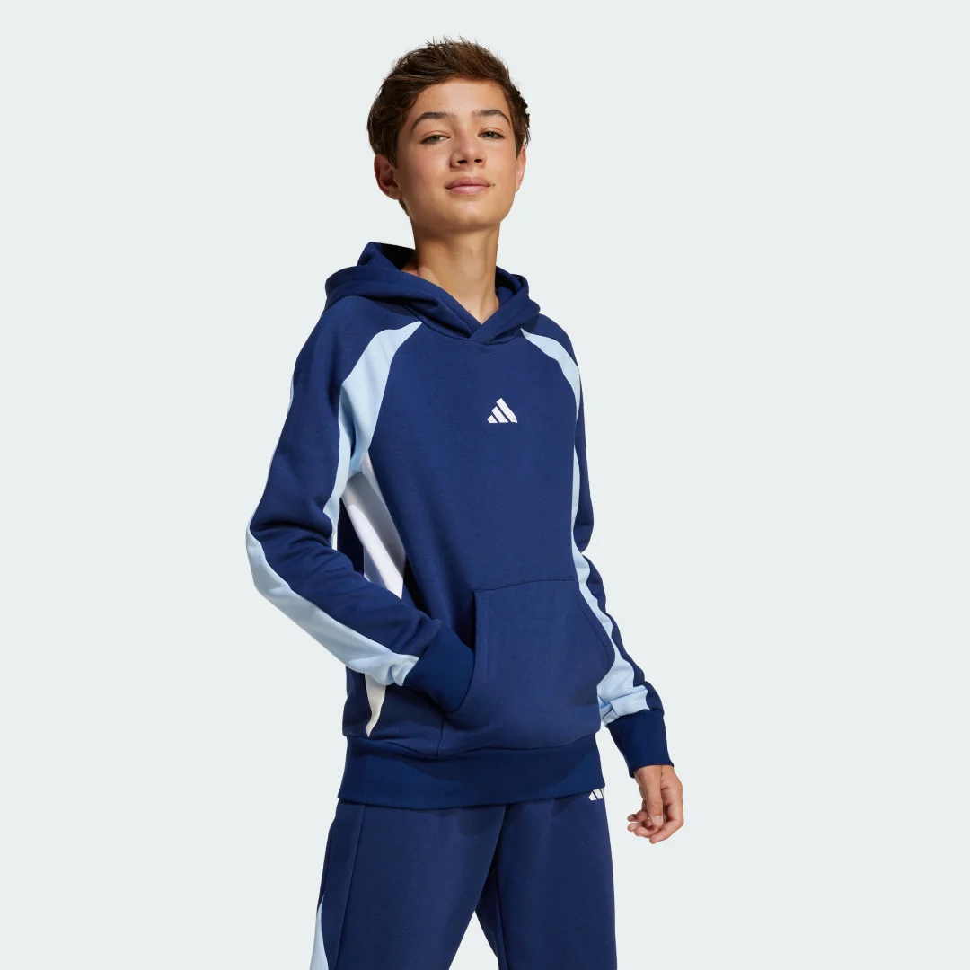 Detalle de Sudadera con capucha Seasonal Essentials Colorblock Fleece (Adolescentes) de Adidas